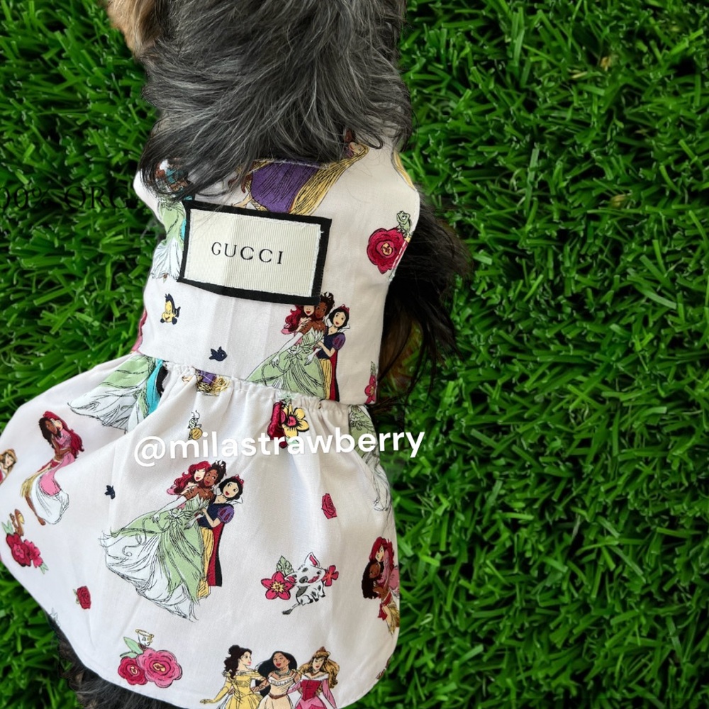 Doggie Summer Dress Princess